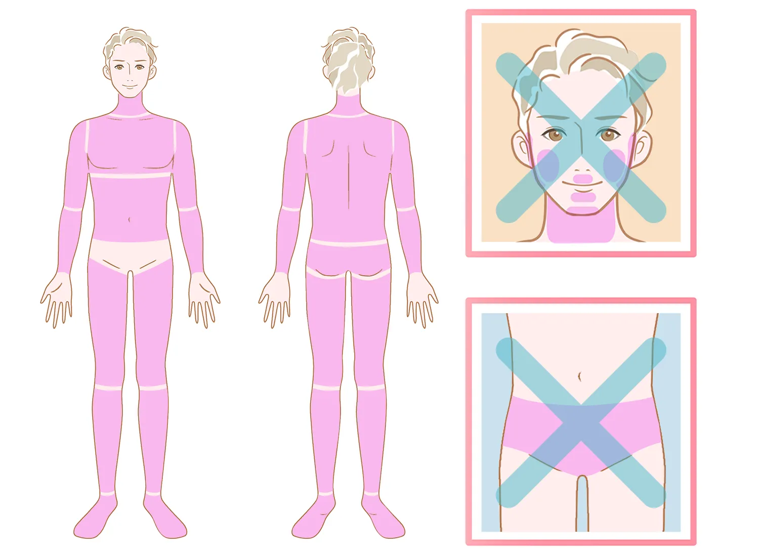 全身（VIO・フェイスなし）+ 臀部